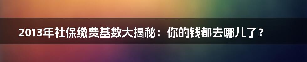 2013年社保缴费基数大揭秘:你的钱都去哪儿了?