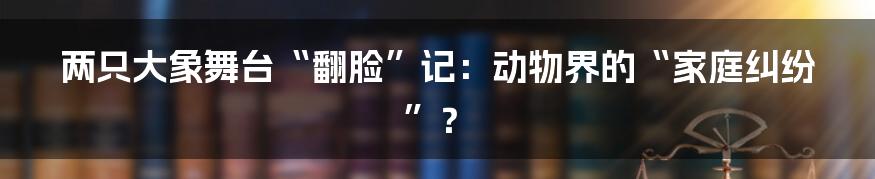 两只大象舞台“翻脸”记:动物界的“家庭纠纷”?