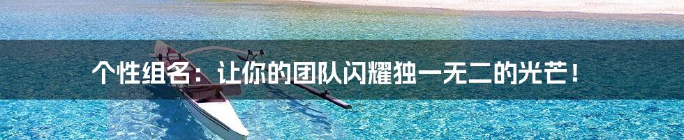 个性组名:让你的团队闪耀独一无二的光芒!
