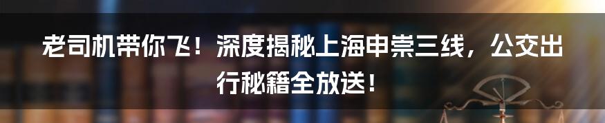 老司机带你飞!深度揭秘上海申崇三线,公交出行秘籍全放送!