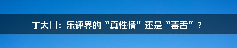 丁太昇:乐评界的“真性情”还是“毒舌”?