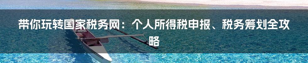 带你玩转国家税务网：个人所得税申报、税务筹划全攻略