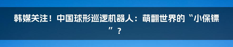 韩媒关注!中国球形巡逻机器人:萌翻世界的“小保镖”?
