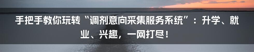手把手教你玩转“调剂意向采集服务系统”:升学、就业、兴趣,一网打尽!