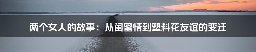 两个女人的故事:从闺蜜情到塑料花友谊的变迁