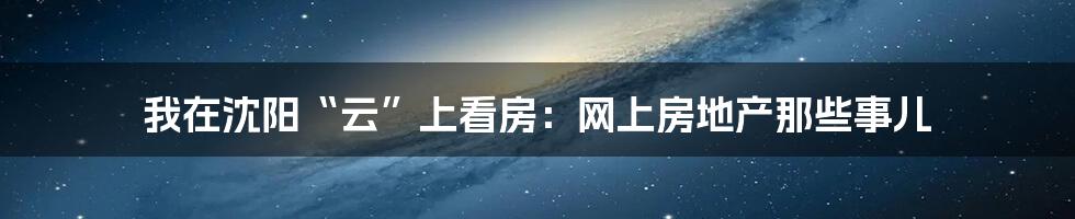 我在沈阳“云”上看房:网上房地产那些事儿