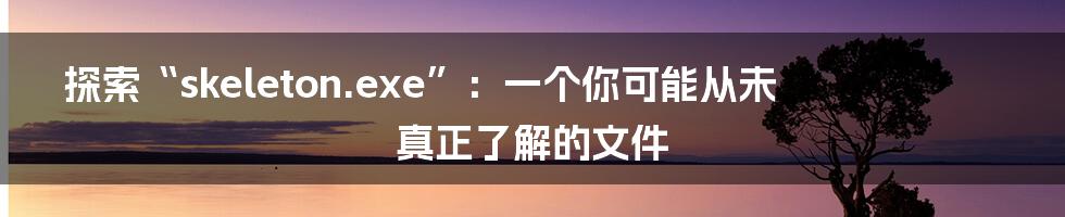 探索“skeleton.exe”:一个你可能从未真正了解的文件