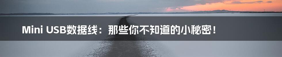Mini USB数据线:那些你不知道的小秘密!