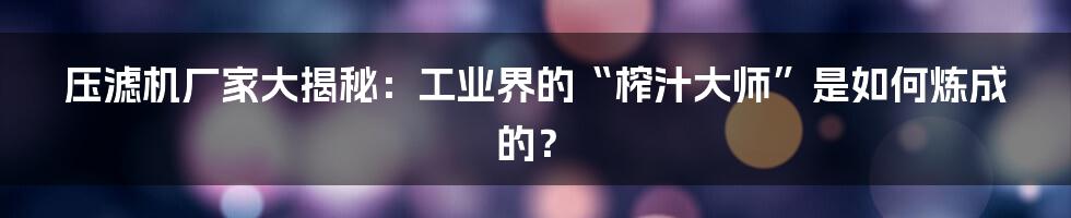 压滤机厂家大揭秘：工业界的“榨汁大师”是如何炼成的？