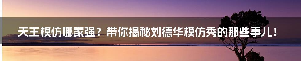天王模仿哪家强？带你揭秘刘德华模仿秀的那些事儿！