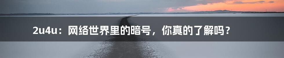 2u4u：网络世界里的暗号，你真的了解吗？