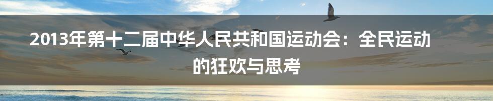 2013年第十二届中华人民共和国运动会:全民运动的狂欢与思考
