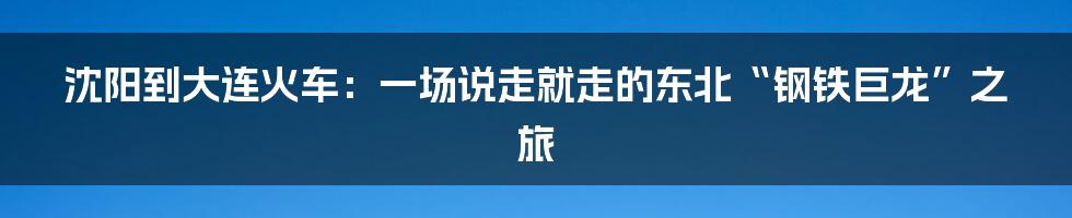 沈阳到大连火车:一场说走就走的东北“钢铁巨龙”之旅