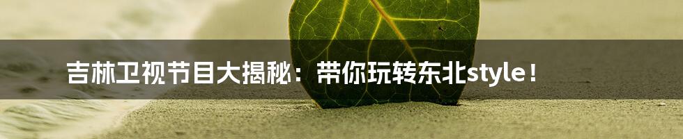 吉林卫视节目大揭秘:带你玩转东北style!