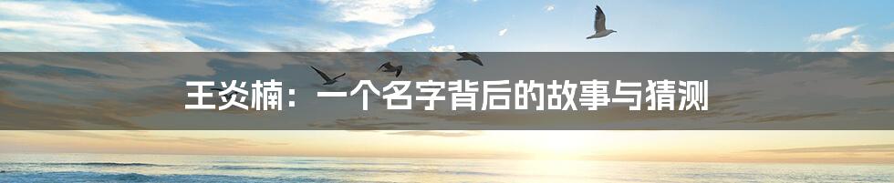 王炎楠:一个名字背后的故事与猜测