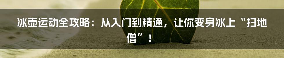 冰壶运动全攻略:从入门到精通,让你变身冰上“扫地僧”!