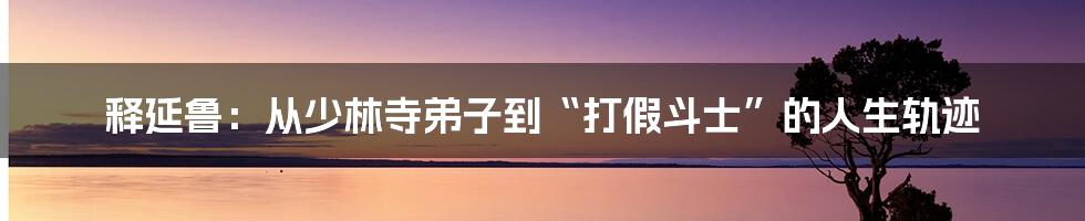 释延鲁:从少林寺弟子到“打假斗士”的人生轨迹