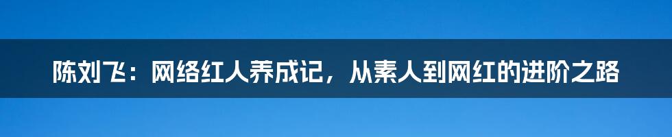 陈刘飞：网络红人养成记，从素人到网红的进阶之路