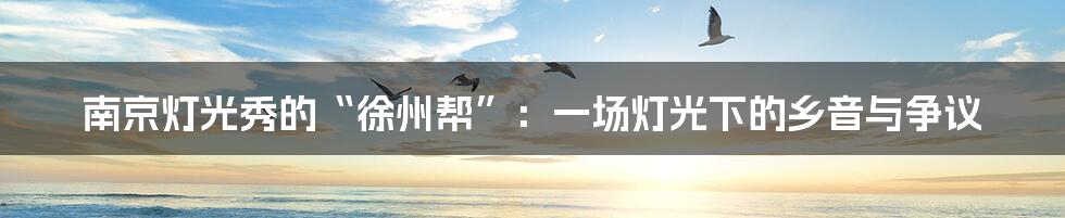 南京灯光秀的“徐州帮”:一场灯光下的乡音与争议