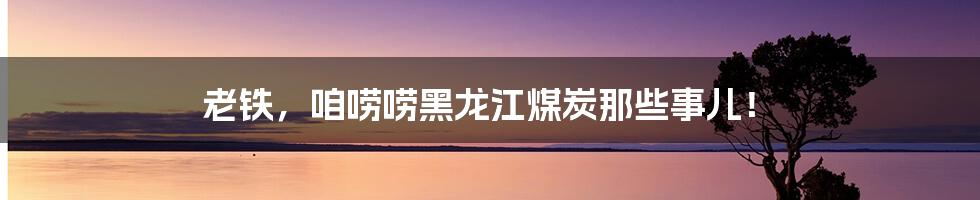 老铁,咱唠唠黑龙江煤炭那些事儿!
