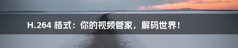 H.264 格式:你的视频管家,解码世界!