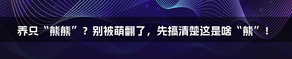 养只“熊熊”?别被萌翻了,先搞清楚这是啥“熊”!