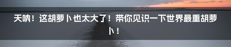 天呐!这胡萝卜也太大了!带你见识一下世界最重胡萝卜!