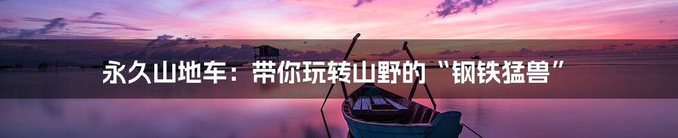 永久山地车：带你玩转山野的“钢铁猛兽”