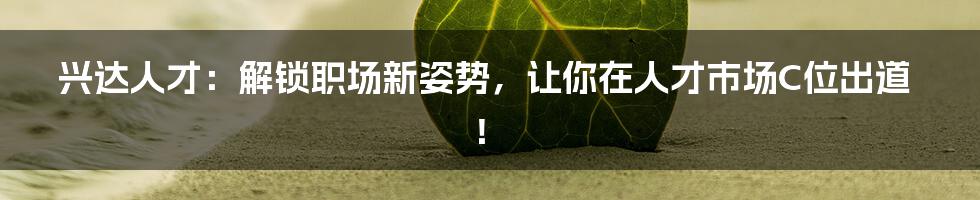 兴达人才：解锁职场新姿势，让你在人才市场C位出道！
