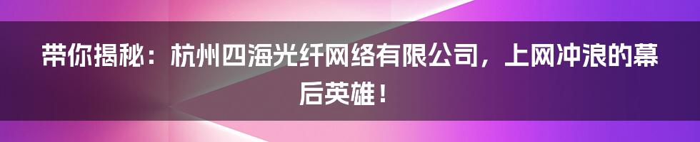 带你揭秘:杭州四海光纤网络有限公司,上网冲浪的幕后英雄!