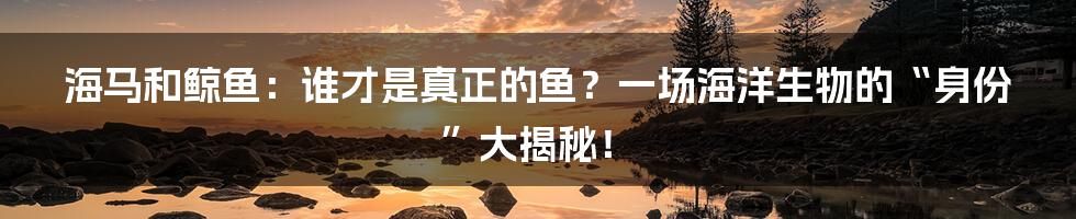 海马和鲸鱼:谁才是真正的鱼?一场海洋生物的“身份”大揭秘!