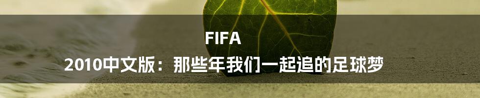 FIFA 2010中文版：那些年我们一起追的足球梦