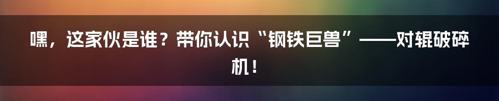 嘿,这家伙是谁?带你认识“钢铁巨兽”——对辊破碎机!