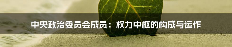 中央政治委员会成员:权力中枢的构成与运作