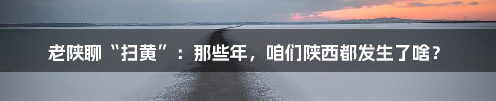 老陕聊“扫黄”:那些年,咱们陕西都发生了啥?