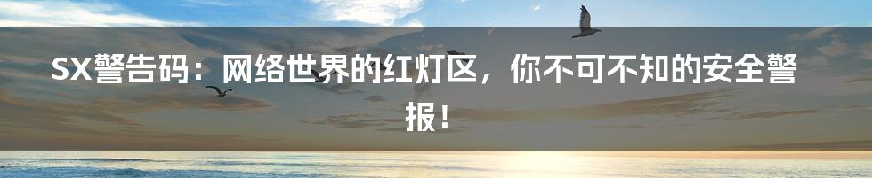 SX警告码：网络世界的红灯区，你不可不知的安全警报！