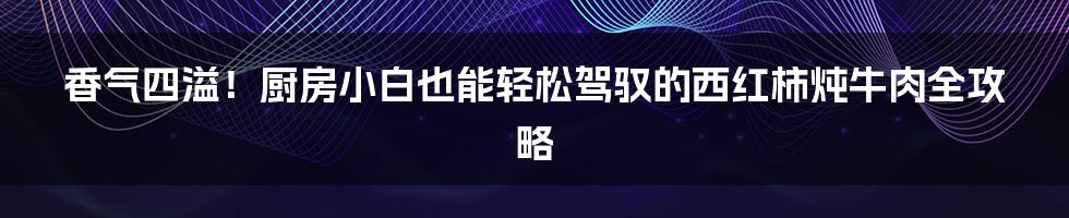 香气四溢！厨房小白也能轻松驾驭的西红柿炖牛肉全攻略