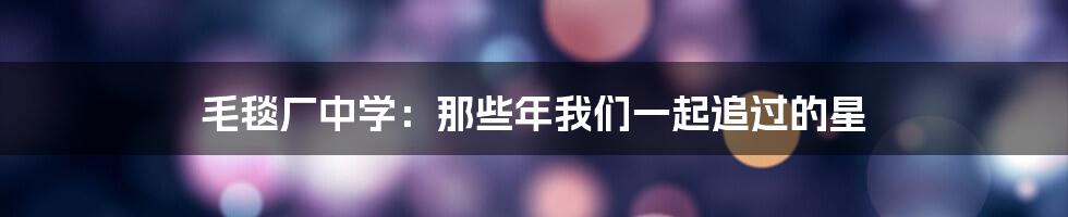 毛毯厂中学:那些年我们一起追过的星