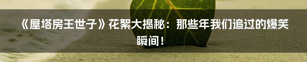 《屋塔房王世子》花絮大揭秘:那些年我们追过的爆笑瞬间!