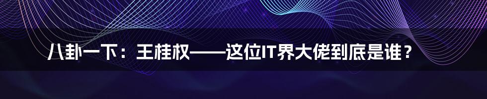 八卦一下:王桂权——这位IT界大佬到底是谁?