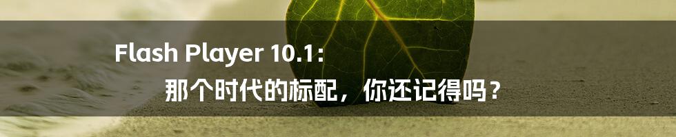 Flash Player 10.1： 那个时代的标配，你还记得吗？