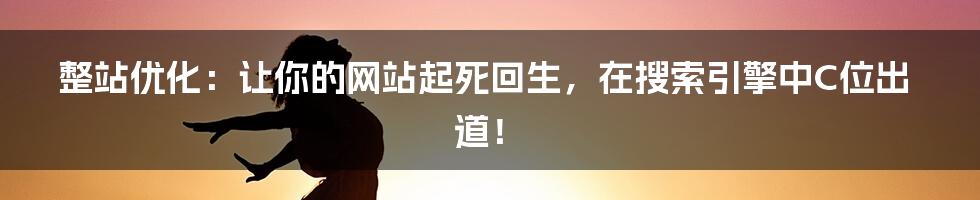 整站优化:让你的网站起死回生,在搜索引擎中C位出道!