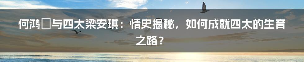 何鸿燊与四太梁安琪:情史揭秘,如何成就四太的生育之路?
