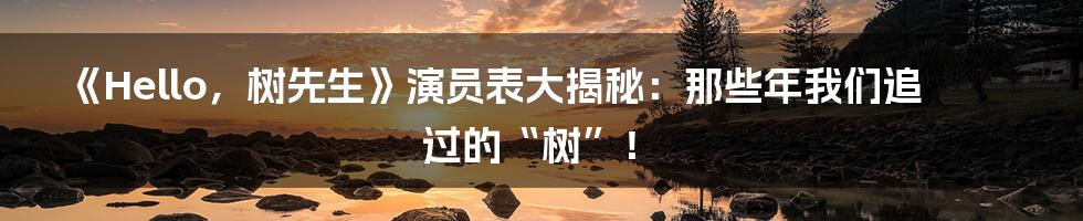 《Hello，树先生》演员表大揭秘：那些年我们追过的“树”！
