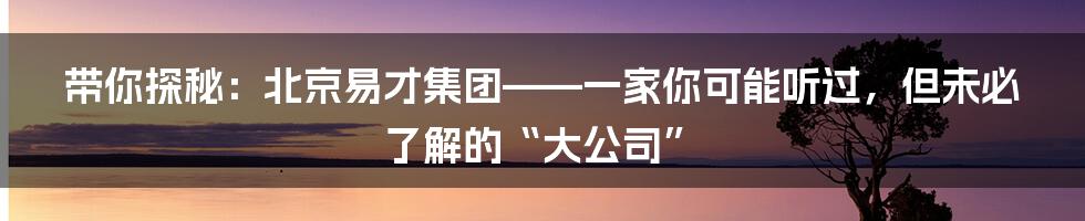 带你探秘:北京易才集团——一家你可能听过,但未必了解的“大公司”
