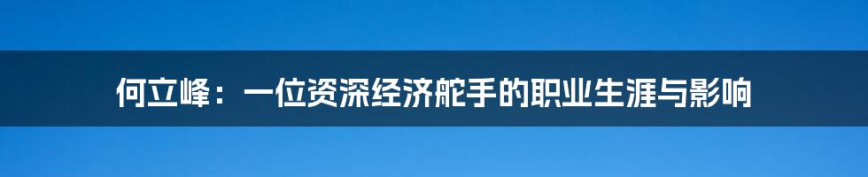 何立峰：一位资深经济舵手的职业生涯与影响