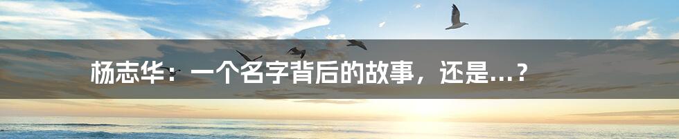 杨志华：一个名字背后的故事，还是...？