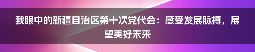 我眼中的新疆自治区第十次党代会:感受发展脉搏,展望美好未来