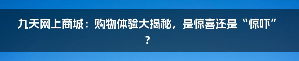九天网上商城:购物体验大揭秘,是惊喜还是“惊吓”?