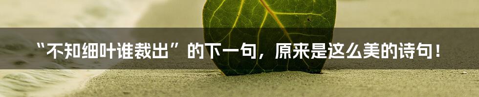 “不知细叶谁裁出”的下一句,原来是这么美的诗句!